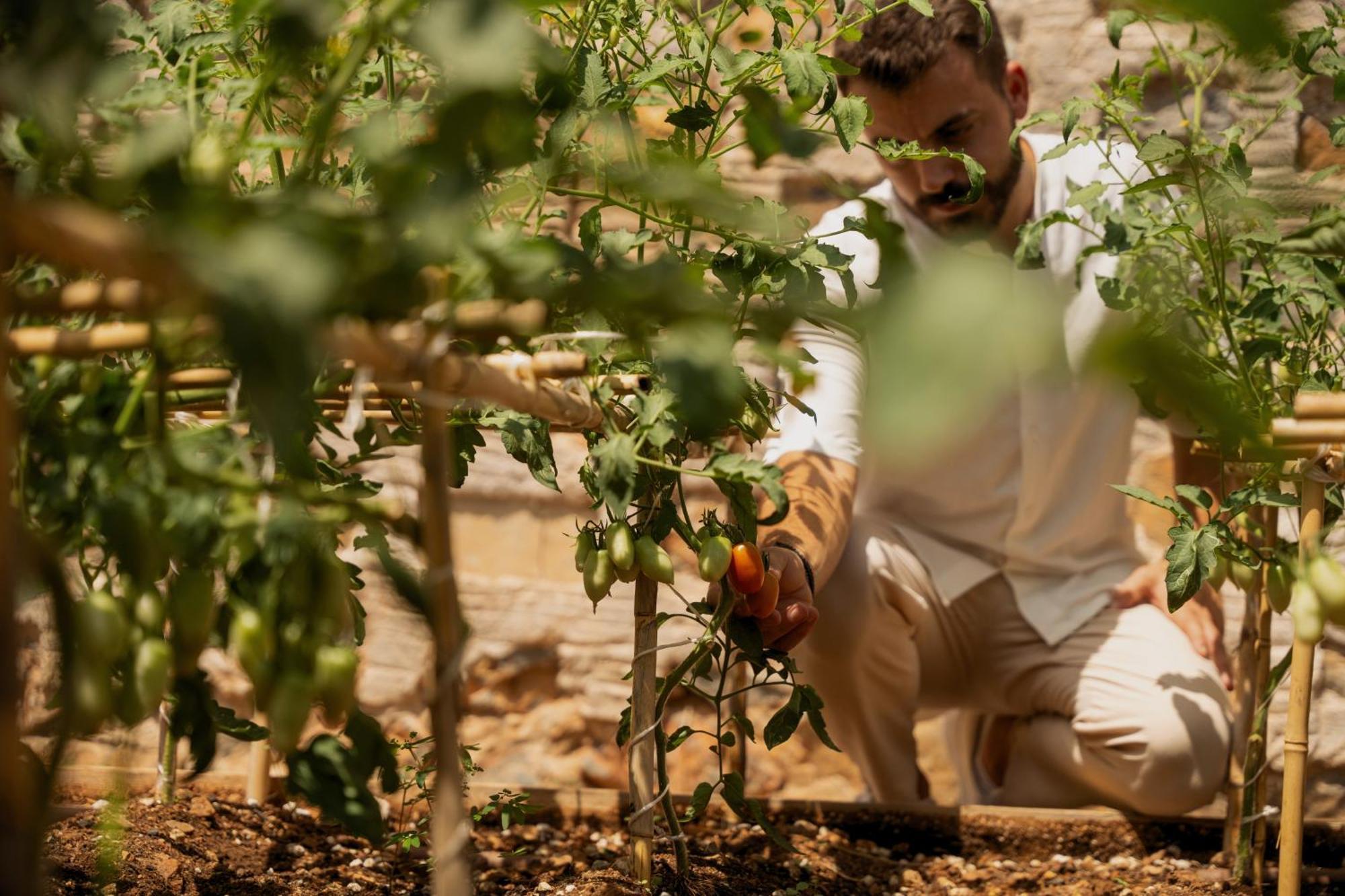 Minos Palace Resort - Adults Only Ágios Nikolaos Exterior foto A farmer in the Negev